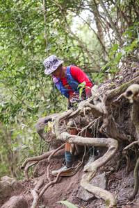 BIB: 
                            <button type="button" onclick="openModal(28096805)" class="btn btn-primary btn-sm float-right btn-popup" data-toggle="modal" data-target=".modal-high-quality">
                        <i class="fas fa-shopping-cart"></i> Add to Cart
                    </button>
                                            <button type="button" onclick="isThisMe(28096805, true)" class="btn btn-success btn-sm float-right btn-popup btn-isme hidden" data-toggle="tooltip" data-placement="bottom" title="นี่คือรูปของคุณใช่ไหม คลิกที่นี่เพื่อเอาเข้าอัลบั้ม">
                        <i class="fas fa-plus"></i> Add to album
                    </button>
                    <button type="button" onclick="isThisMe(28096805, false)" class="btn btn-warning btn-sm float-right btn-popup btn-isnotme hidden">
                        <i class="fas fa-ban"></i> Remove from album
                    </button>